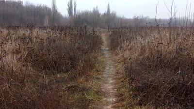 Територію колишніх артскладів у Полтаві досліджуватимуть наступного року Територію колишніх артскладів у Полтаві досліджуватимуть наступного року