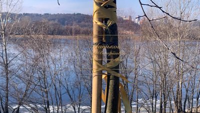 У Києві вшанували пам'ять жертв катастрофи літака МАУ у Тегерані У Києві вшанували пам'ять жертв катастрофи літака МАУ у Тегерані