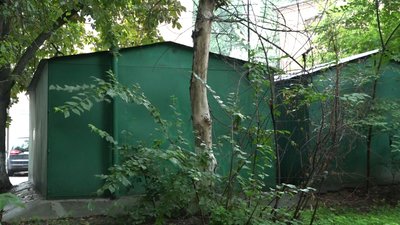 На прибудинкових територіях у Житомирі до кінця року зріжуть 416 дерев На прибудинкових територіях у Житомирі до кінця року зріжуть 416 дерев
