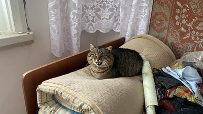 "Ви знаєте, що у вас вікон немає? Кажу: ні”.Що розповіли мешканці села Ямне на Сумщині після обстрілу армії РФ "Ви знаєте, що у вас вікон немає? Кажу: ні”.Що розповіли мешканці села Ямне на Сумщині після обстрілу армії РФ