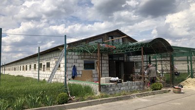 В екопарку у селі Ковалівка Полтавської ТГ звели приміщення для евакуйованих та місцевих тварин В екопарку у селі Ковалівка Полтавської ТГ звели приміщення для евакуйованих та місцевих тварин