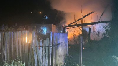 Дим в районі річки Кам'янка у Житомирі є наслідком пожежі – рятувальники