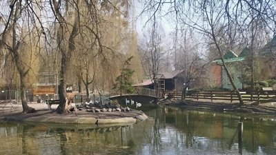 У зоокуточку переселяють тварин та готують їх до вакцинаці