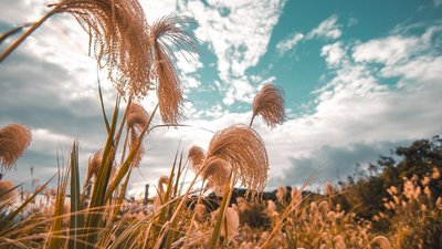 Опадів не буде, але прохолода затримається. Що з погодою у понеділок