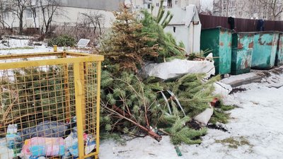 Спочатку подрібнюють: у місті на Волині практикують новий спосіб утилізації новорічних дерев