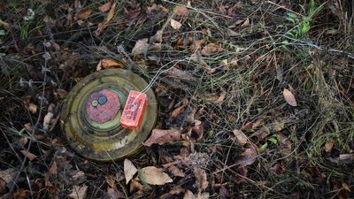 На Миколаївщині дві дитини отримали поранення через детонацію міни