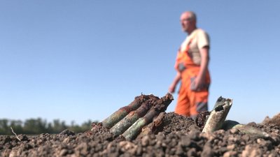 На Харківщині знайшли останки майже 100 солдатів Другої світової війни На Харківщині знайшли останки майже 100 солдатів Другої світової війни