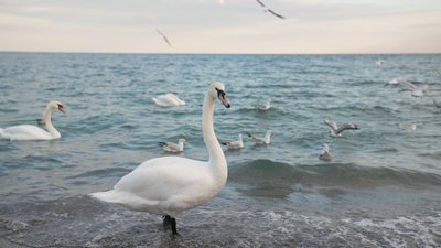 Погода в Одесі
