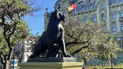 В центрі Одеси ховають левів від ракетних обстрілів