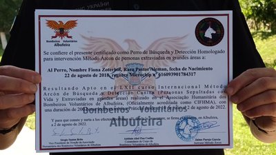 У Португалії вівчарку з Тернополя навчили самостійно шукати людей У Португалії вівчарку з Тернополя навчили самостійно шукати людей