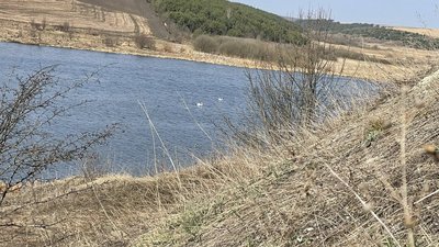 Кременецькі гори, весна на Кременеччині