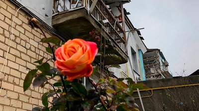 фототиждень 28 листопада - 4 грудня
