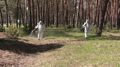 Обробка від кліщів