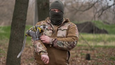 «Антистрес і талісман": в евакуаційників 128 бригади "Дике поле" живе мартишка Зіна
