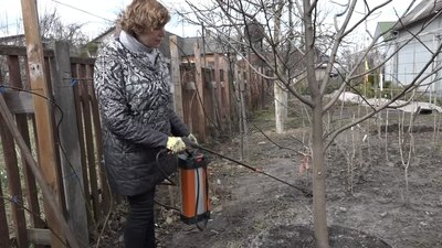 Біологічні чи хімічні препарати обрати для захисту дерев від шкідників: думки фахівців Житомирщини