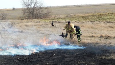 За добу на Херсонщині рятувальники ліквідували 5 пожеж в екосистемах За добу на Херсонщині рятувальники ліквідували 5 пожеж в екосистемах