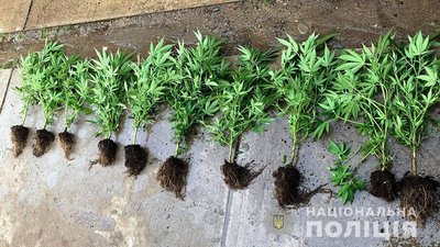 Фото Нацполіції Закарпаття Фото Нацполіції Закарпаття