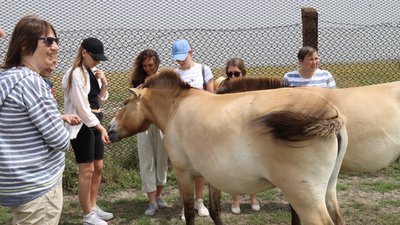 Лісівники Херсонщини вирішили нагодувати тварин заповідника "Асканія-Нова" Лісівники Херсонщини вирішили нагодувати тварин заповідника "Асканія-Нова"