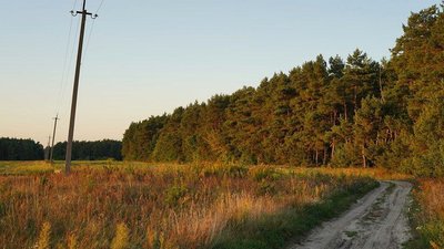 Погода на Рівненщині