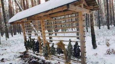 У лісових угіддях на Волині облаштували пів тисячі підгодівельних комплексів для тварин