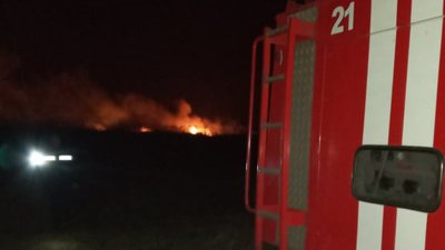 На Миколаївщині горів очерет На Миколаївщині горів очерет