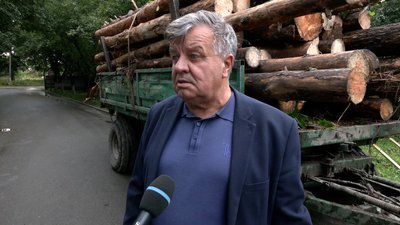 Виріс попит та черги на дрова: як на Чернігівщині люди готуються до холодів Виріс попит та черги на дрова: як на Чернігівщині люди готуються до холодів
