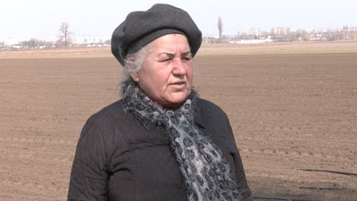 У черкаському фермерському господарстві сіють овочеві культури У черкаському фермерському господарстві сіють овочеві культури