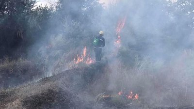 На Херсонщині за добу сталось 18 пожеж в екосистемах На Херсонщині за добу сталось 18 пожеж в екосистемах