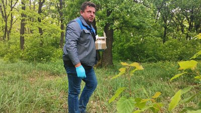 Більш ніж пів мільйона доз: на Полтавщині імунізують диких тварин від сказу Більш ніж пів мільйона доз: на Полтавщині імунізують диких тварин від сказу