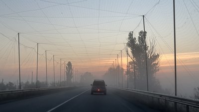 Дорога на Донеччині під антидроновою сіткою