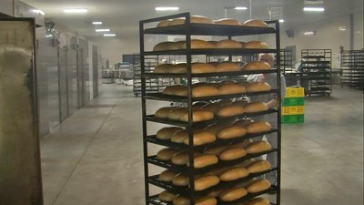 Стратегічний продукт: як працює одна з пекарень на Волині Стратегічний продукт: як працює одна з пекарень на Волині