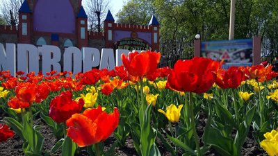 ”Ми займаємося промоцією регіону” – кропивницька гідеса Світлана Грищук ”Ми займаємося промоцією регіону” – кропивницька гідеса Світлана Грищук