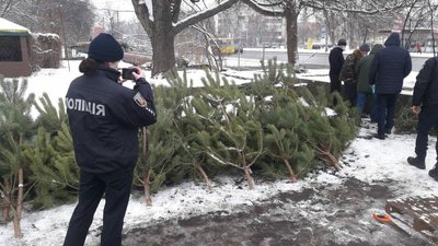 Операція "Новорічна ялинка": на Черкащині перевіряють законність збуту дерев