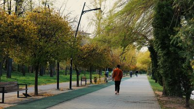 Вітер, озеро, Івано-Франківськ