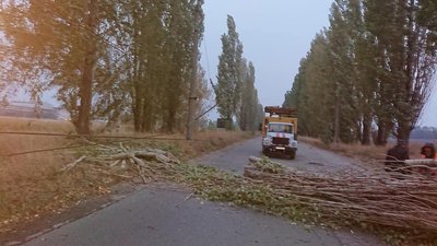 Ремонтники КП "Електроавтотранс" в Сумах 7 годин долали наслідки нічного буревію