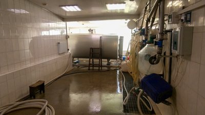 агропромислове підприємство ферма виробництво молоко тварини Донецька область агропромислове підприємство ферма виробництво молоко тварини Донецька область