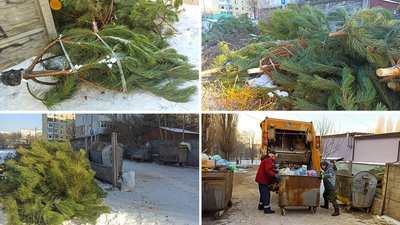 Свята скінчились. Коли і за яких умов вивозитимуть новорічні дерева зі смітників Кропивницького Свята скінчились. Коли і за яких умов вивозитимуть новорічні дерева зі смітників Кропивницького