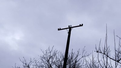 Через аварії на повітряних лініях, на Сумщині понад 18 тис. споживачів залишаються без світла