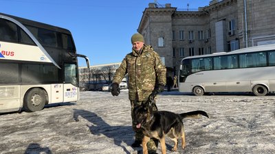 собаки поліція харків собаки поліція харків
