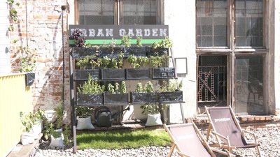 У Франківську створили простір для екосвідомих людей "Urban green garden" У Франківську створили простір для екосвідомих людей "Urban green garden"