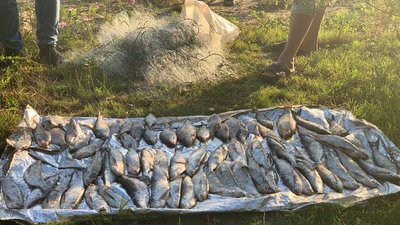 Черкащанина підозрюють у незаконному вилові риби