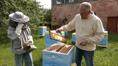 "Цей рік у нас бідний на мед": пасічники Волині про урожай меду через холодну весну — Володимир Дмитрук "Цей рік у нас бідний на мед": пасічники Волині про урожай меду через холодну весну — Володимир Дмитрук