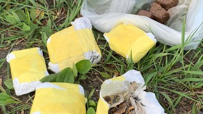 На Хмельниччині виявили чоловіка з галюциногенними грибами — поліція
