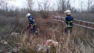 У Петропавлівському районі рятувальники визволили собаку, який впав у колодязь