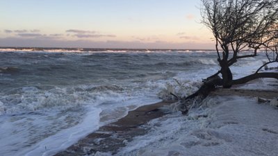 Крижане узбережжя і повалені дерева. Бердянськ потерпає від морозних шквалів Крижане узбережжя і повалені дерева. Бердянськ потерпає від морозних шквалів