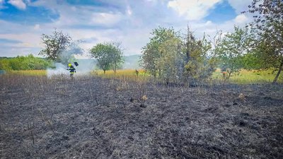 11 пожеж сухостою та чагарників гасили на Закарпатті упродовж чотирьох днів