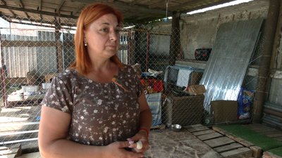 На Чернігівщині створили тимчасовий притулок для тварин з Херсона: як адаптовуються тварини