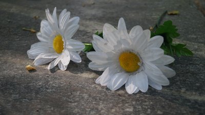 Штучні квіти на могилі Штучні квіти на могилі