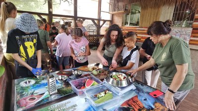 Історія добровольця, розслідування в ТЦК, дудка-викрутка в ЮНЕСКО. Головні новини Рівного та області 29 березня