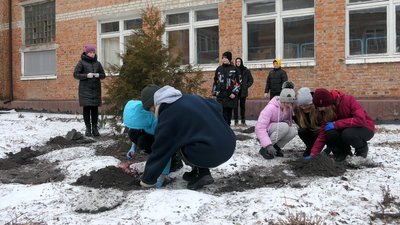 Півтисячі цибулин. У школах Шосткинського району на Сумщині висадили квіти з Нідерландів Півтисячі цибулин. У школах Шосткинського району на Сумщині висадили квіти з Нідерландів